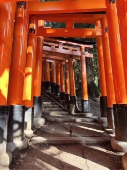 【開運】午年の午の日に願う、最高のご縁💖